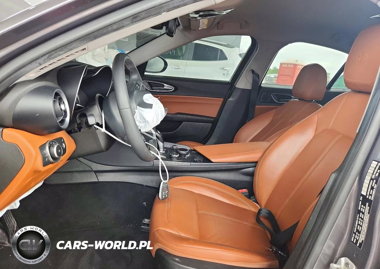 2019 Alfa Romeo Giulia VIN:ZARFAMANXK7599319 - 7