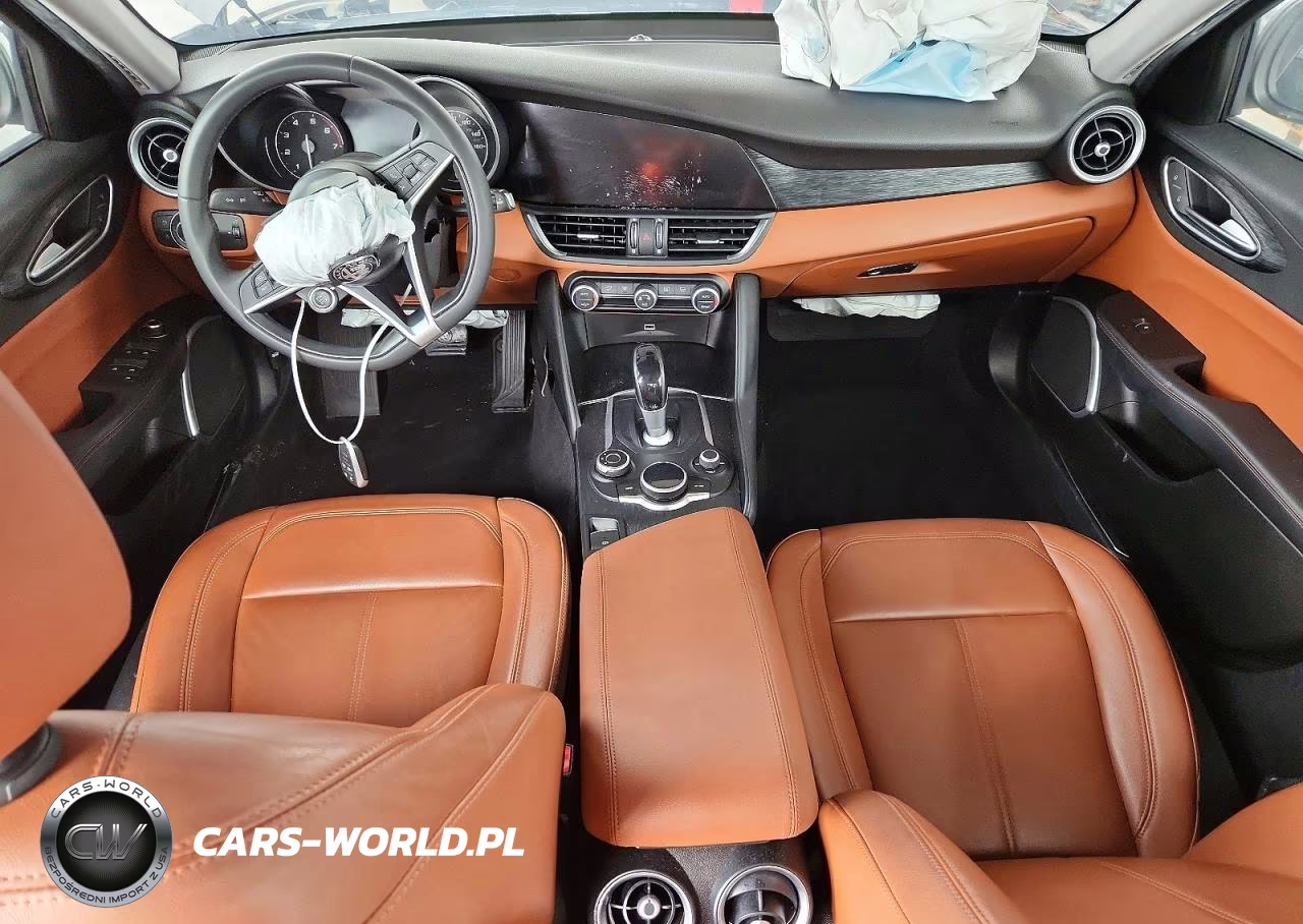 2019 Alfa Romeo Giulia VIN:ZARFAMANXK7599319 - 8