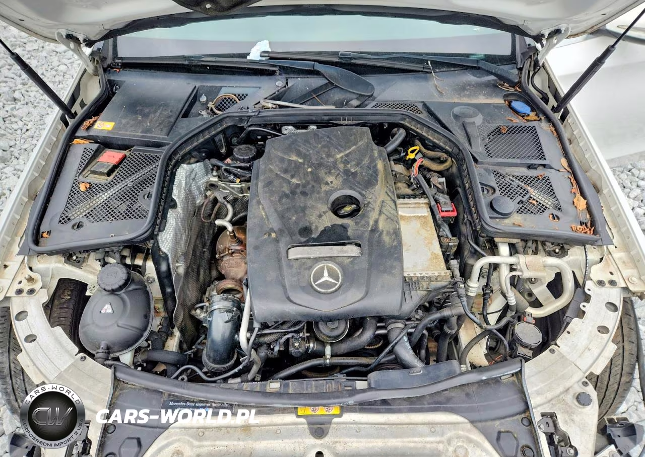 2015 Mercedes-Benz C 300 4Matic VIN:55SWF4KB7FU032838 - 11