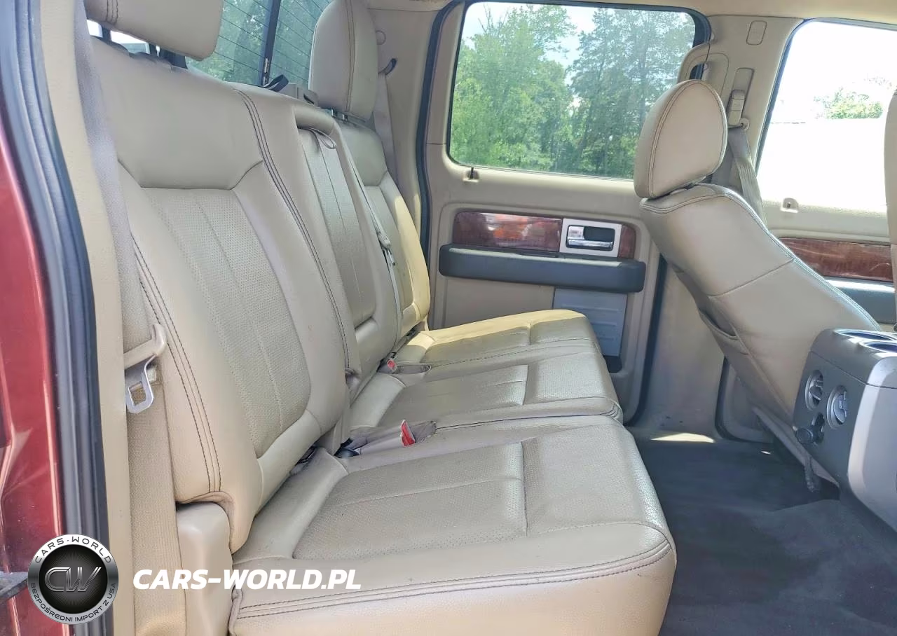2010 Ford F150 Supercrew VIN:1FTFW1EV1AKE12713 - 10