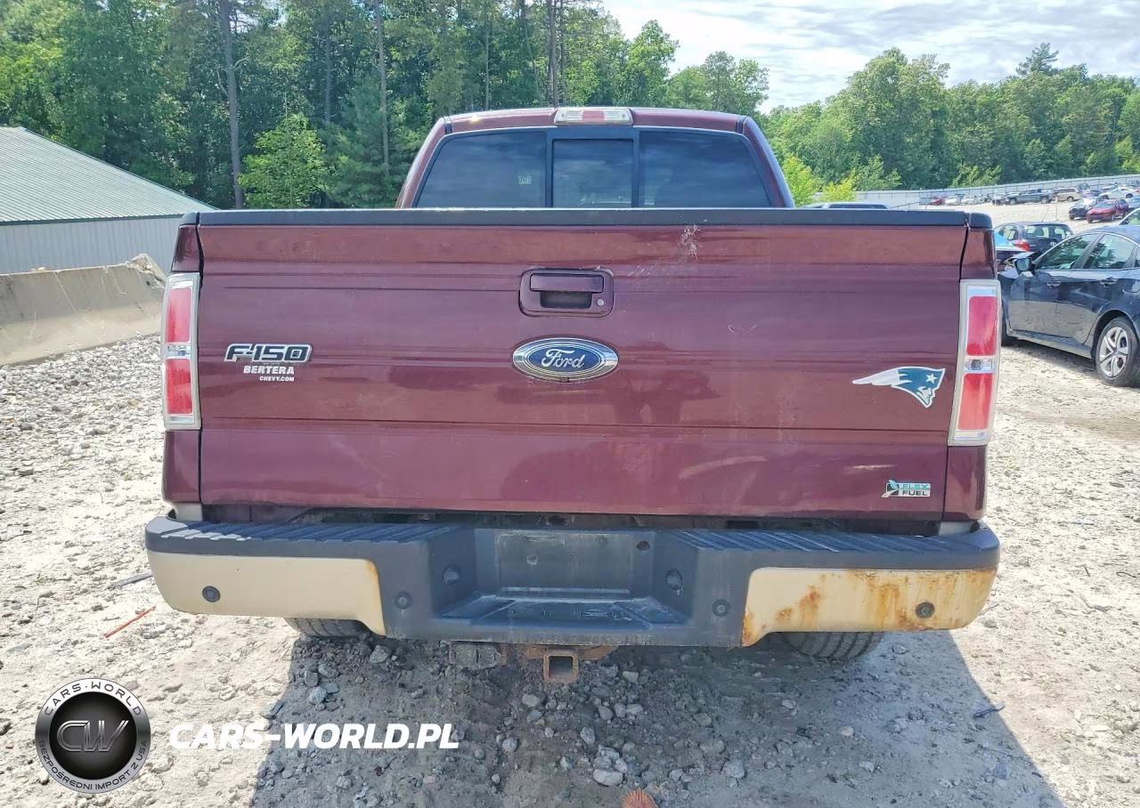 2010 Ford F150 Supercrew VIN:1FTFW1EV1AKE12713 - 6