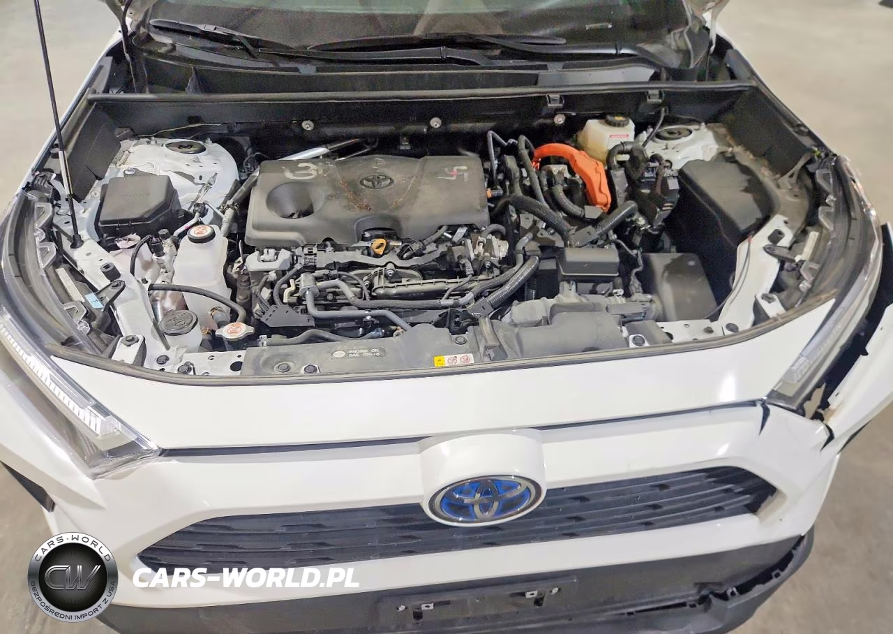 2024 Toyota Rav4 Hybrid Xle VIN:4T3RWRFV3RU122583 - 12
