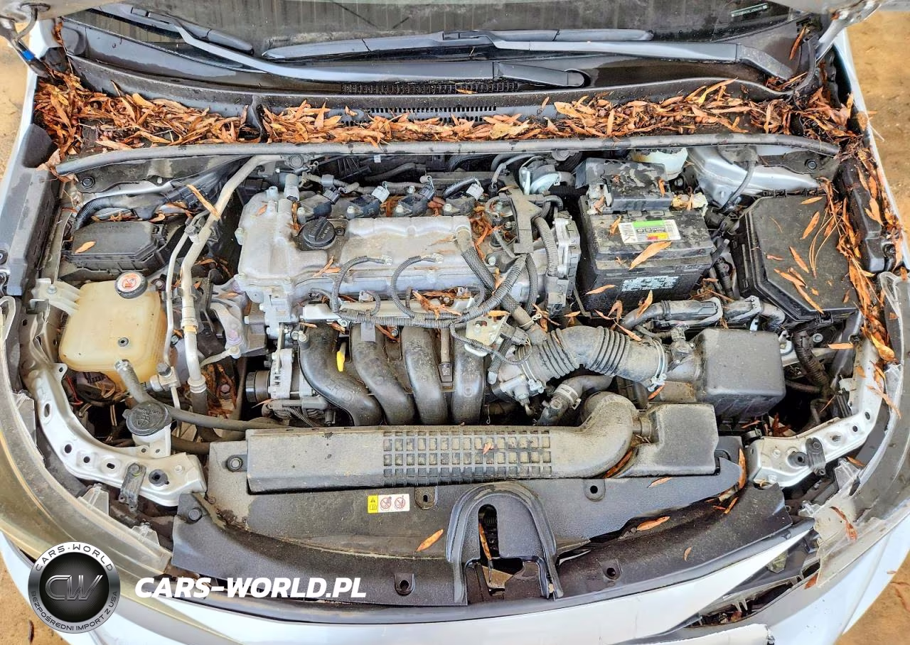 2020 Toyota Corolla L VIN:JTDDPRAE8LJ058688 - 11