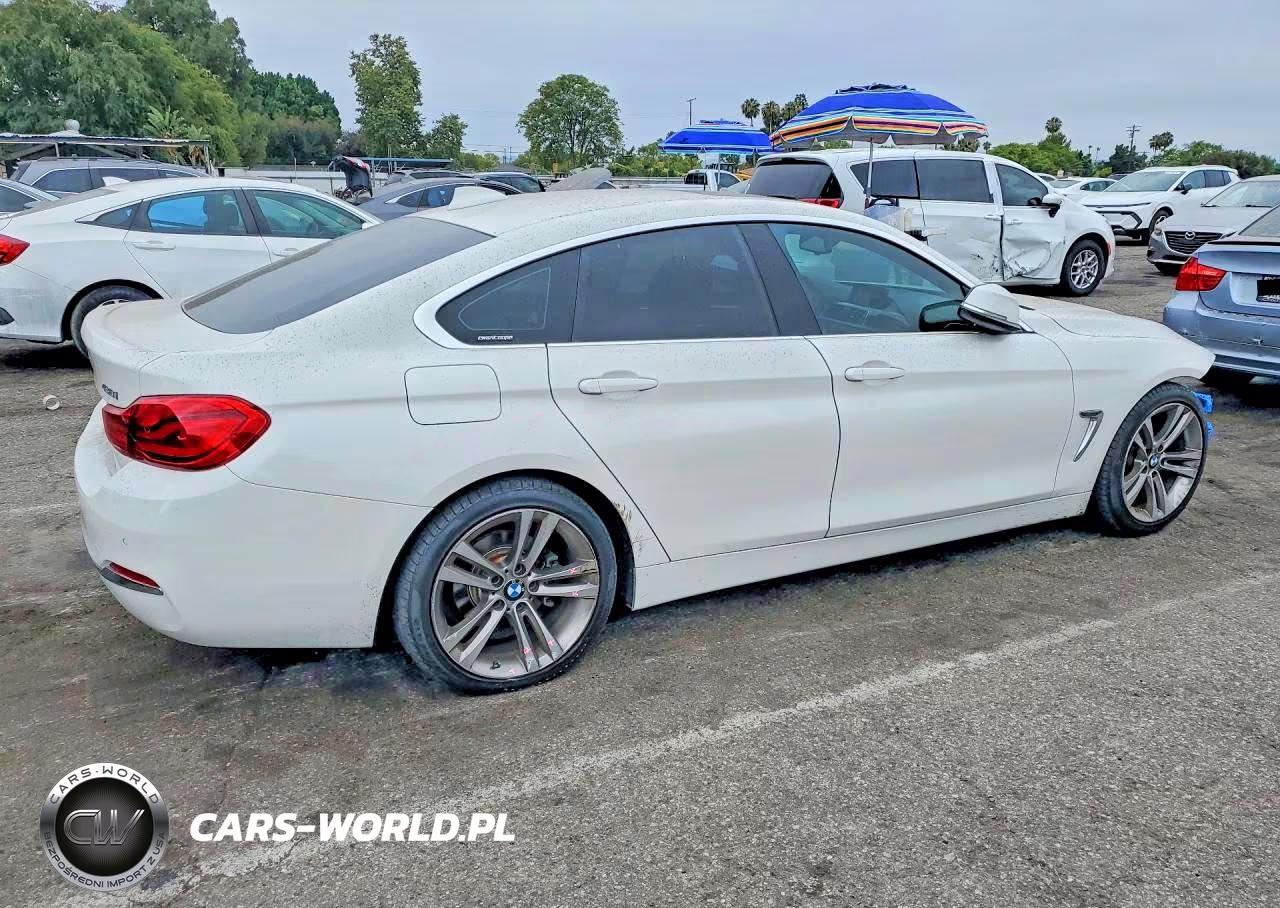 2019 BMW 430I Gran Coupe VIN:WBA4J1C50KBM18042 - 3