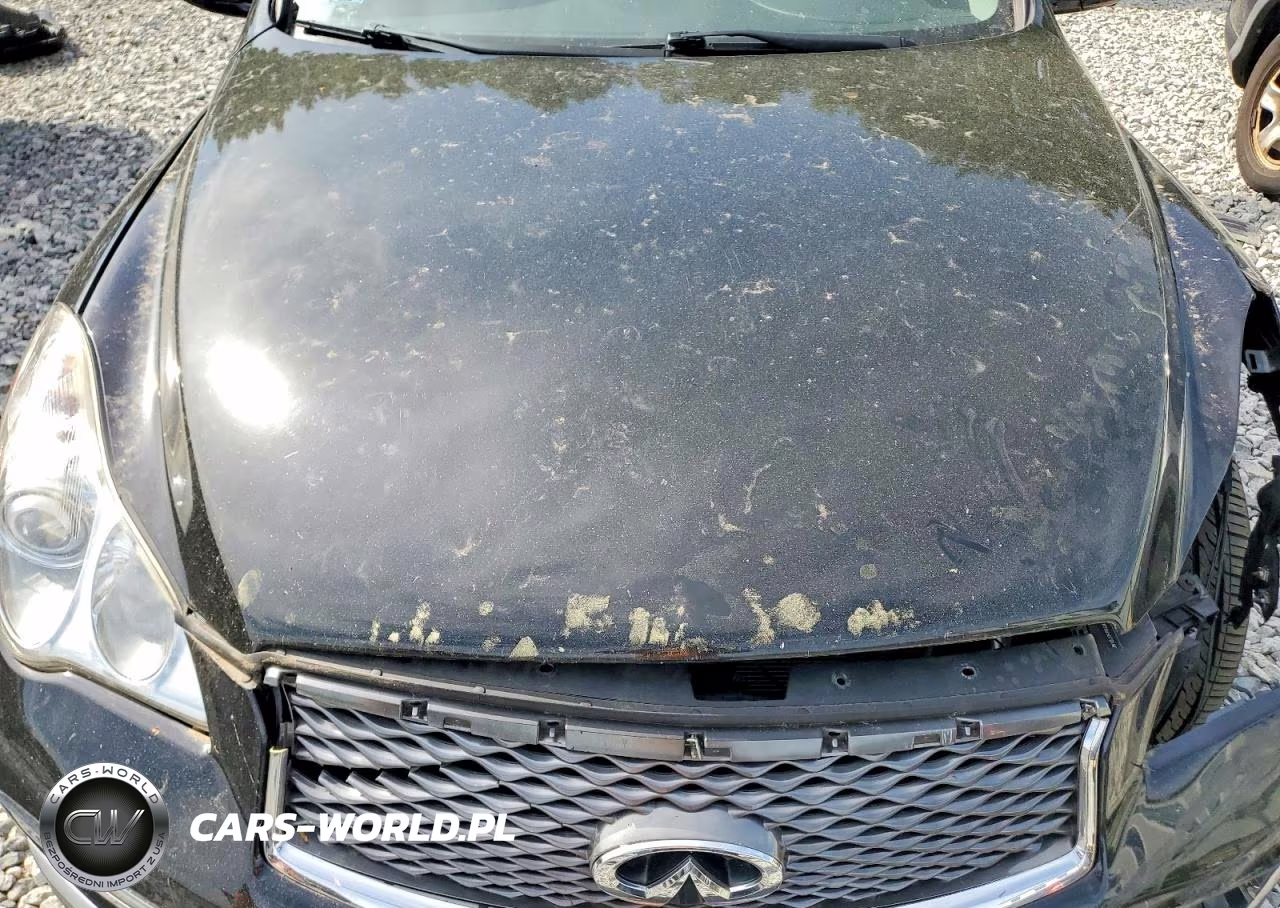 2016 Infiniti Qx50 Base VIN:JN1BJ0RR6GM260674 - 11