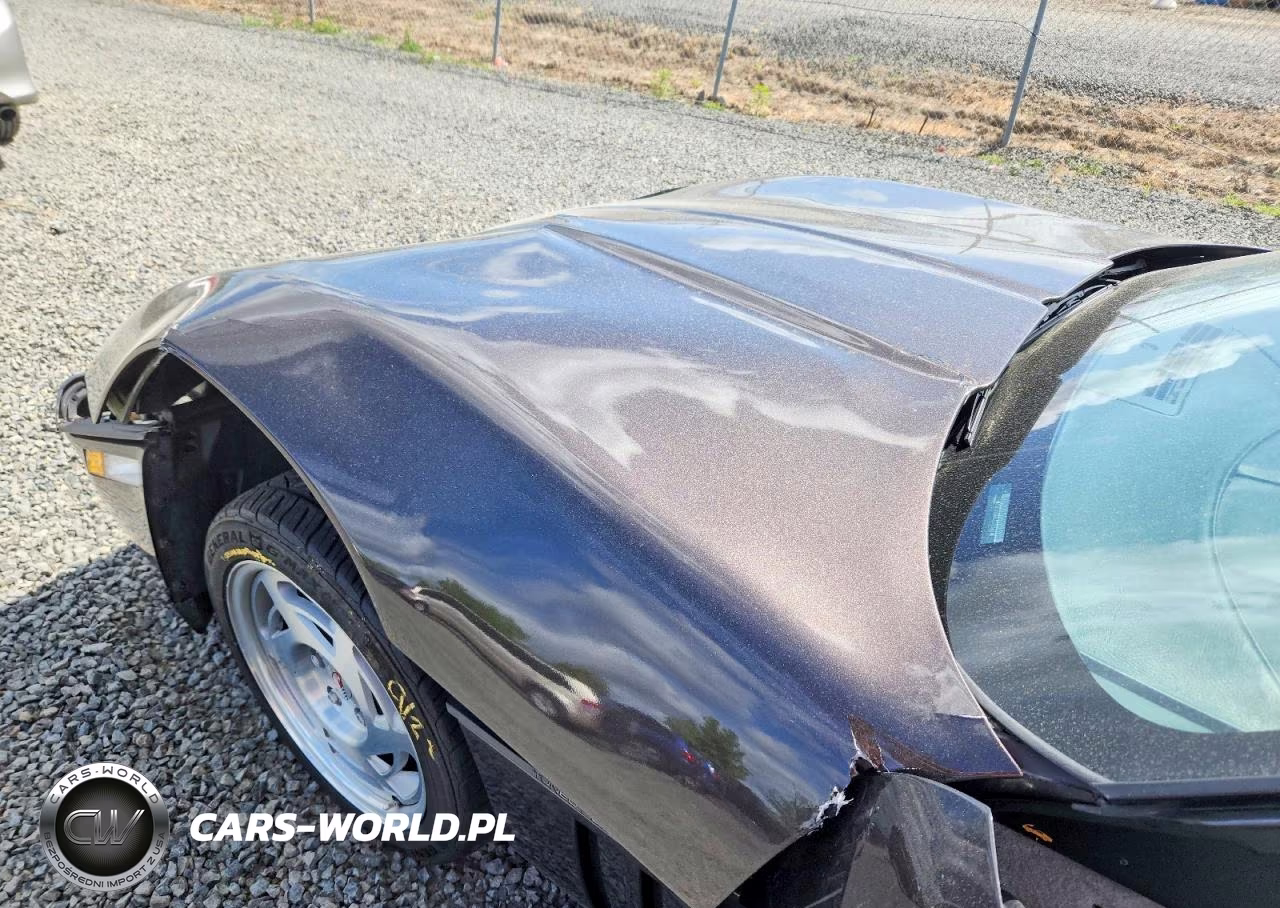1990 Chevrolet Corvette VIN:1G1YY238XL5102382 - 11