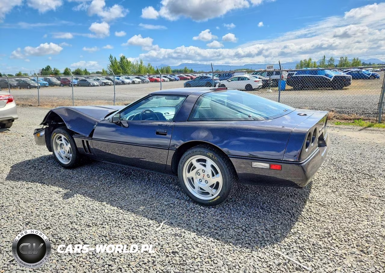 1990 Chevrolet Corvette VIN:1G1YY238XL5102382 - 2