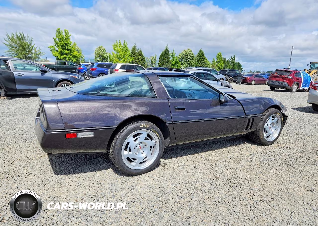 1990 Chevrolet Corvette VIN:1G1YY238XL5102382 - 3