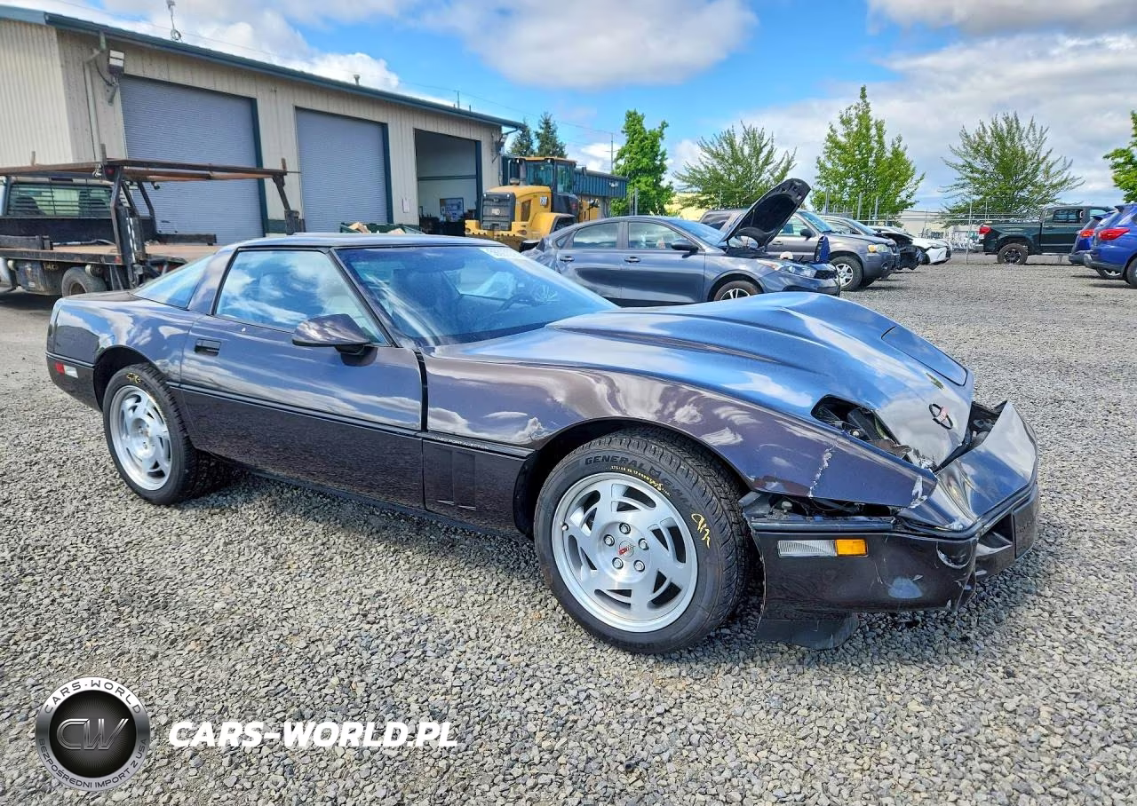 1990 Chevrolet Corvette VIN:1G1YY238XL5102382 - 4