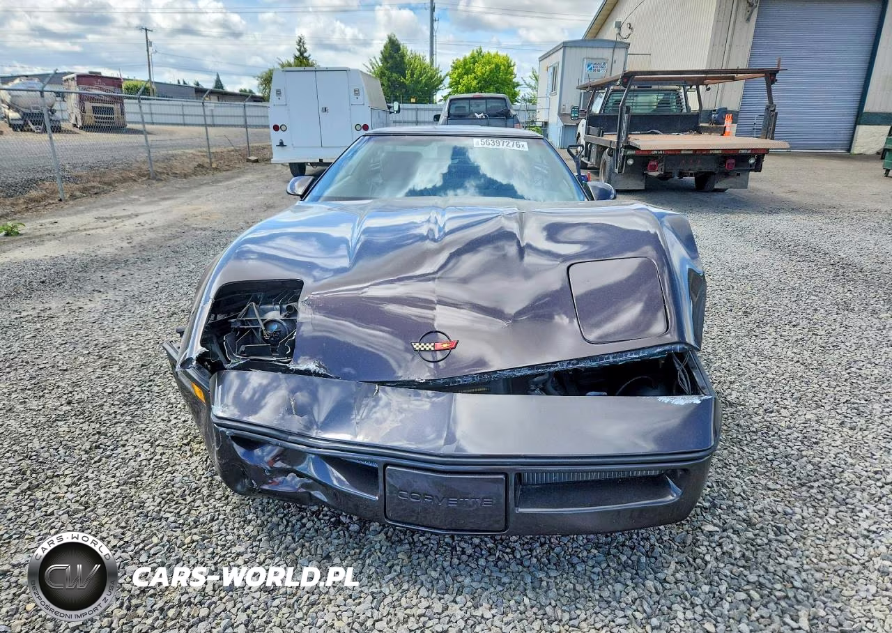 1990 Chevrolet Corvette VIN:1G1YY238XL5102382 - 5