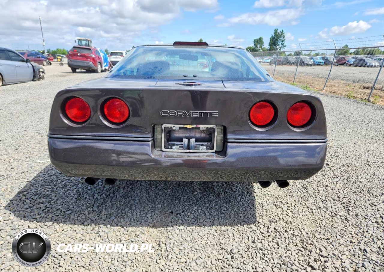 1990 Chevrolet Corvette VIN:1G1YY238XL5102382 - 6