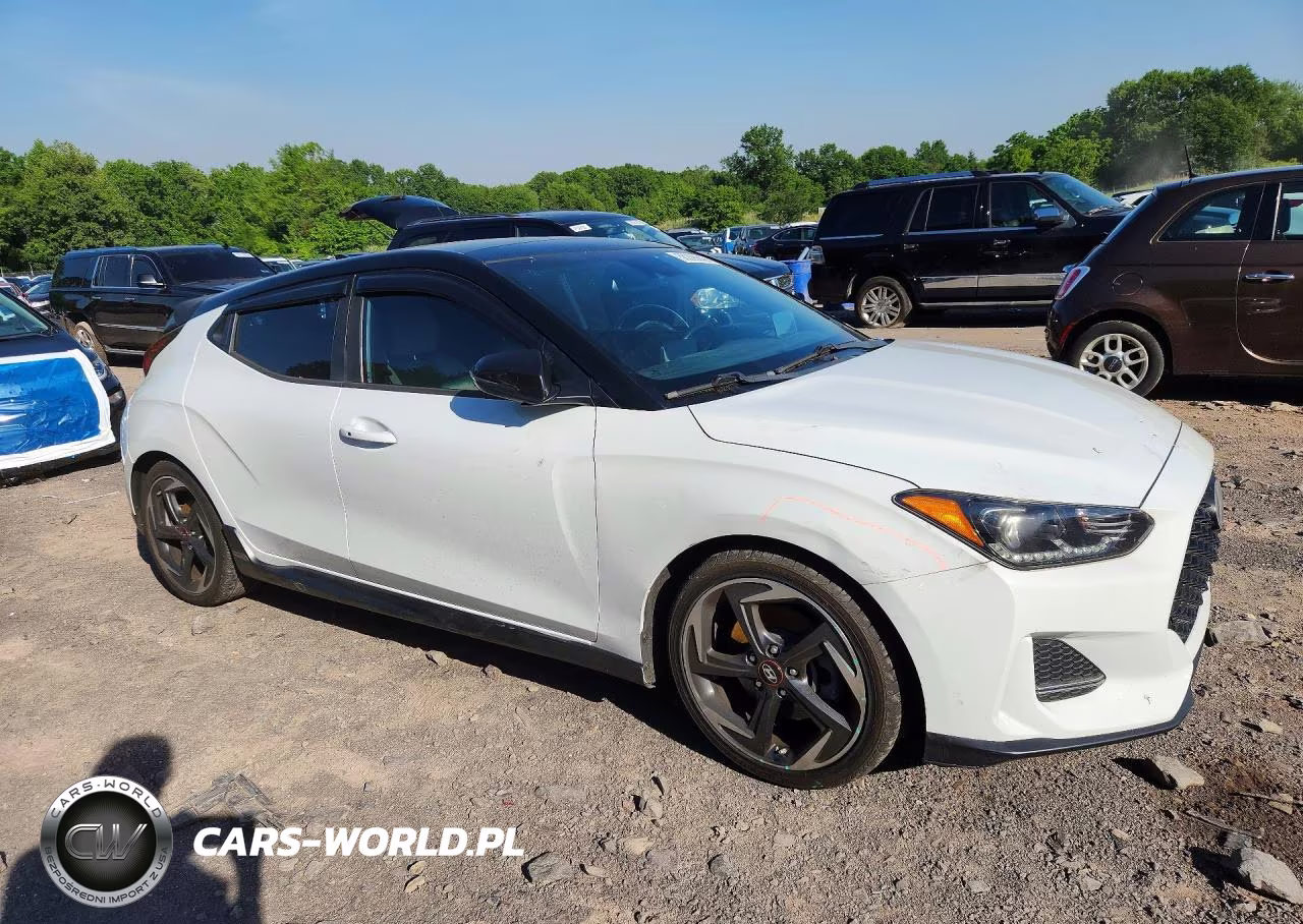 2019 Hyundai Veloster Turbo Ultimate VIN:KMHTH6AB0KU004193 - 4