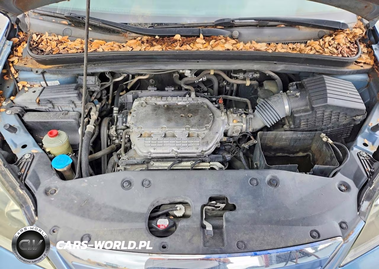 2007 Honda Odyssey Exl VIN:5FNRL387X7B045041 - 12