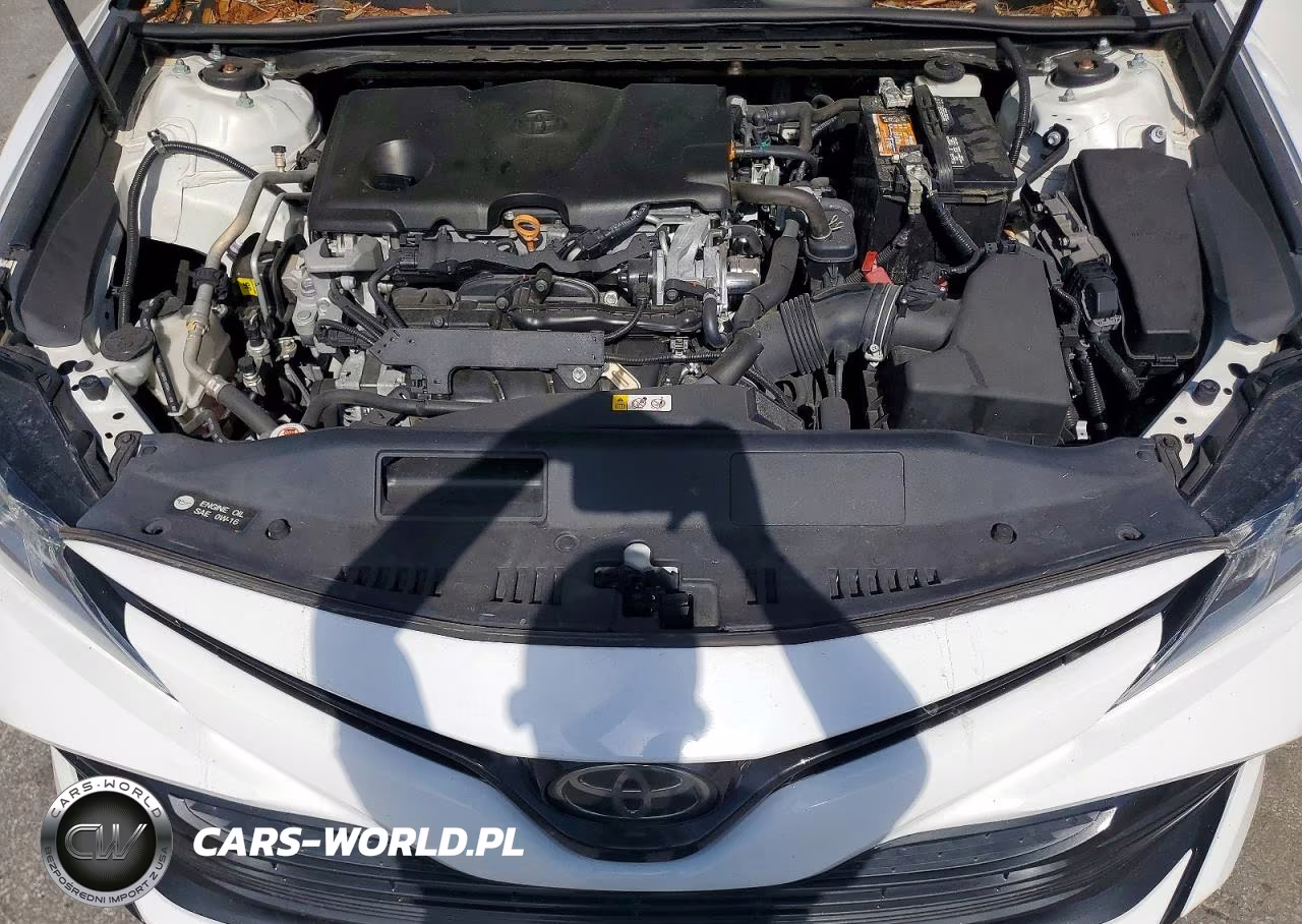 2020 Toyota Camry Le VIN:4T1C11AK1LU938386 - 11