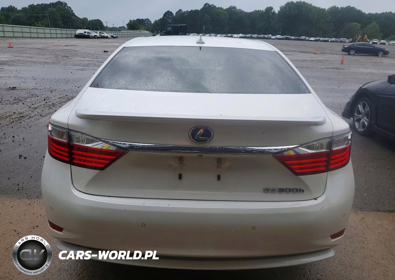 2014 Lexus Es 300H VIN:JTHBW1GG1E2045474 - 6