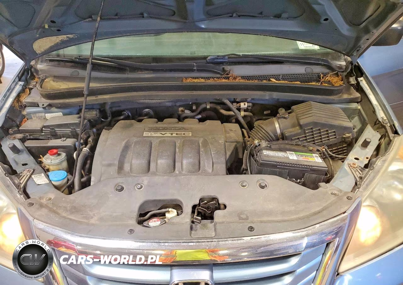 2009 Honda Odyssey Ex VIN:5FNRL38419B007528 - 12