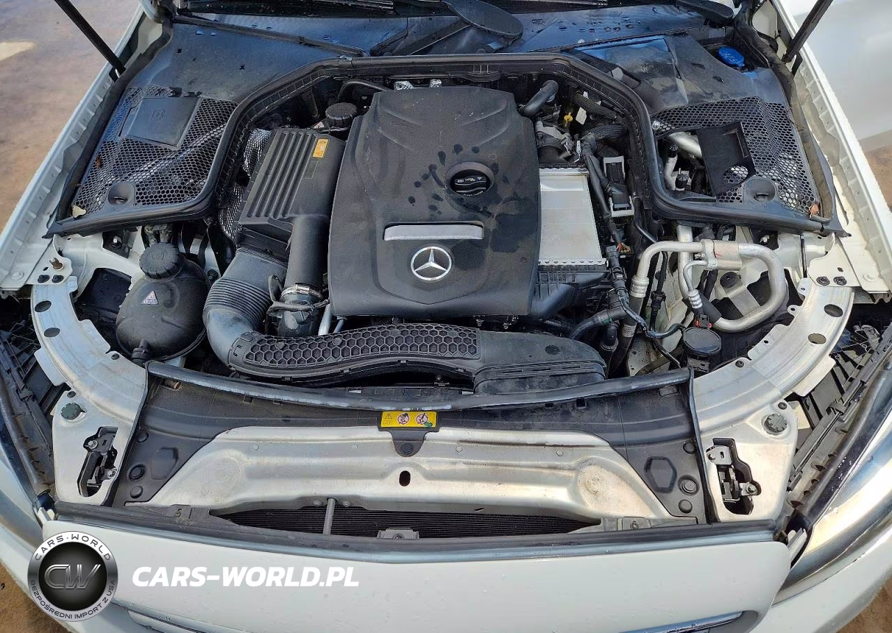 2017 Mercedes-Benz C 300 VIN:55SWF4JB6HU190334 - 11