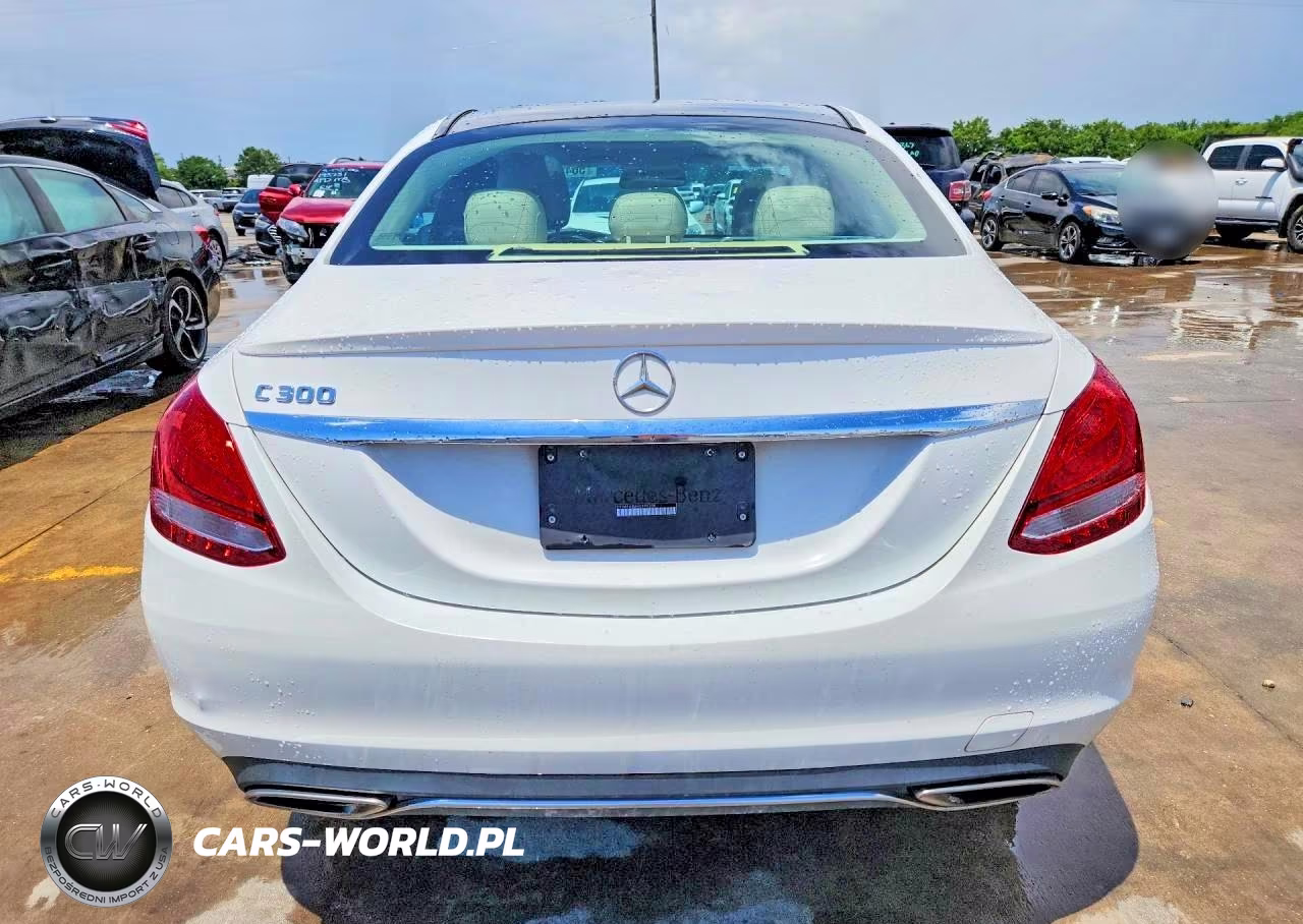 2017 Mercedes-Benz C 300 VIN:55SWF4JB6HU190334 - 6