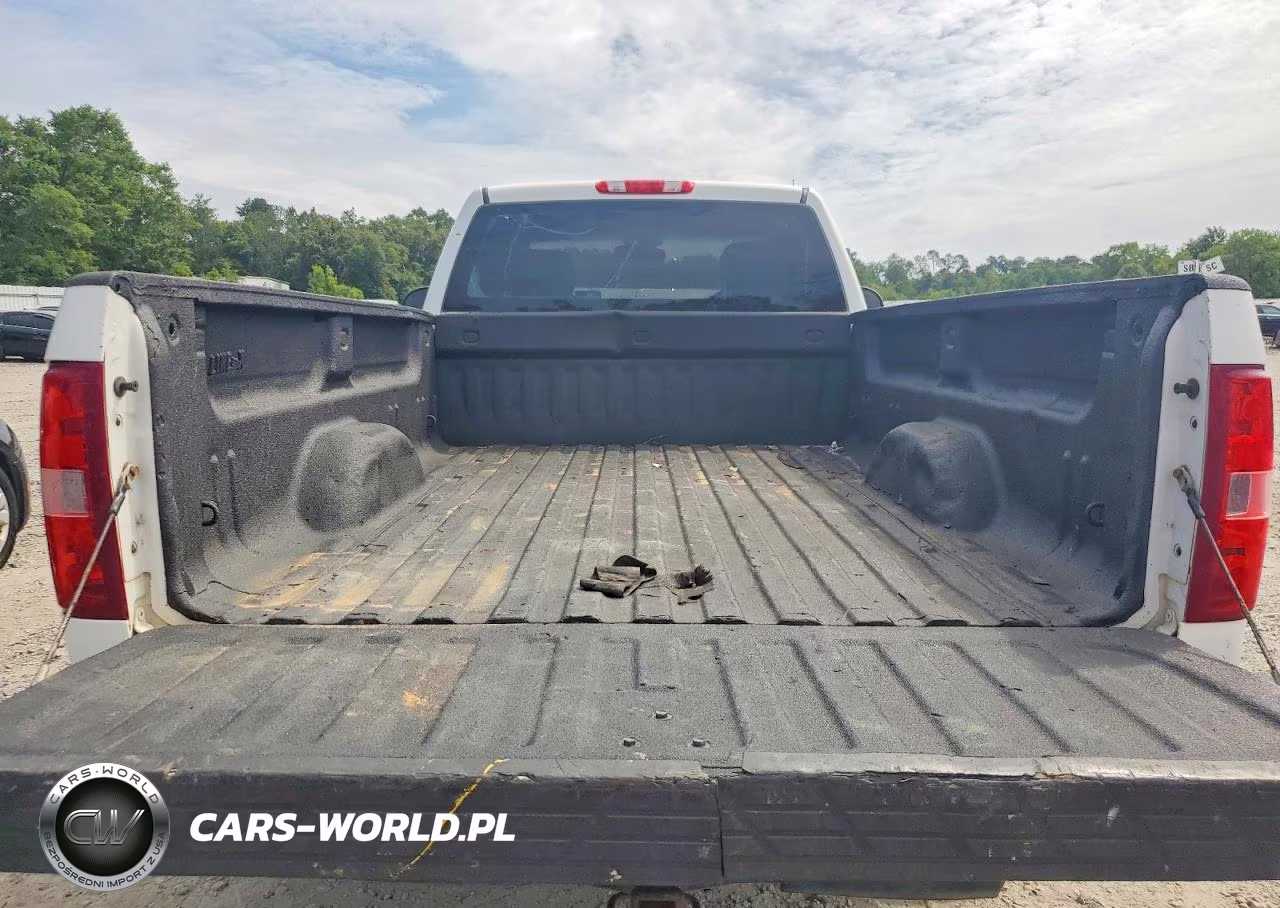 2013 Chevrolet Silverado C1500 VIN:1GCNCPEX6DZ390678 - 10