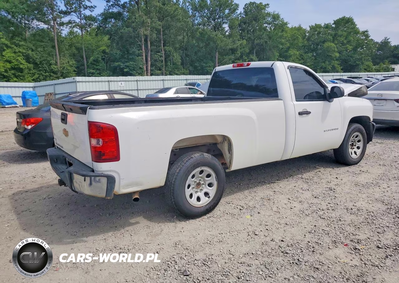 2013 Chevrolet Silverado C1500 VIN:1GCNCPEX6DZ390678 - 3