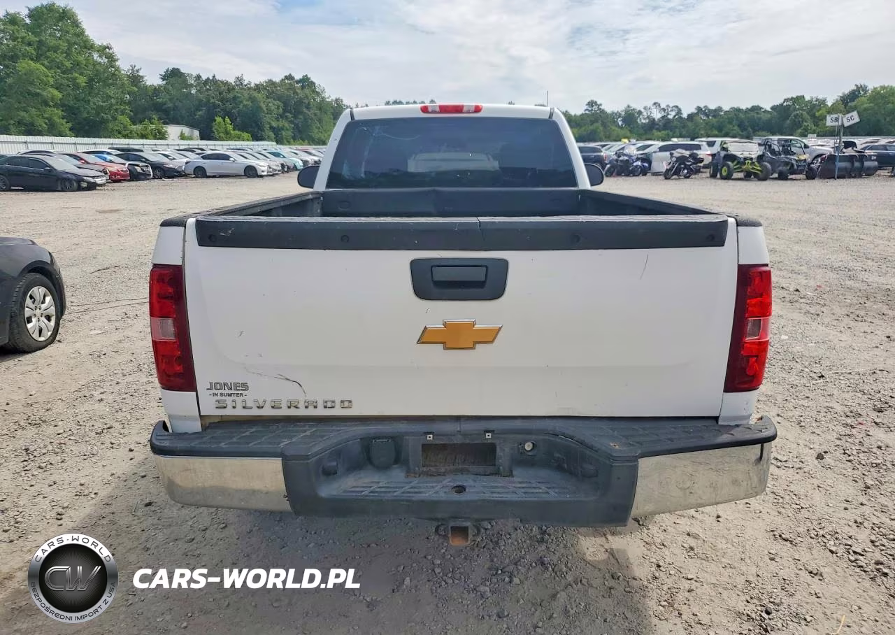2013 Chevrolet Silverado C1500 VIN:1GCNCPEX6DZ390678 - 6