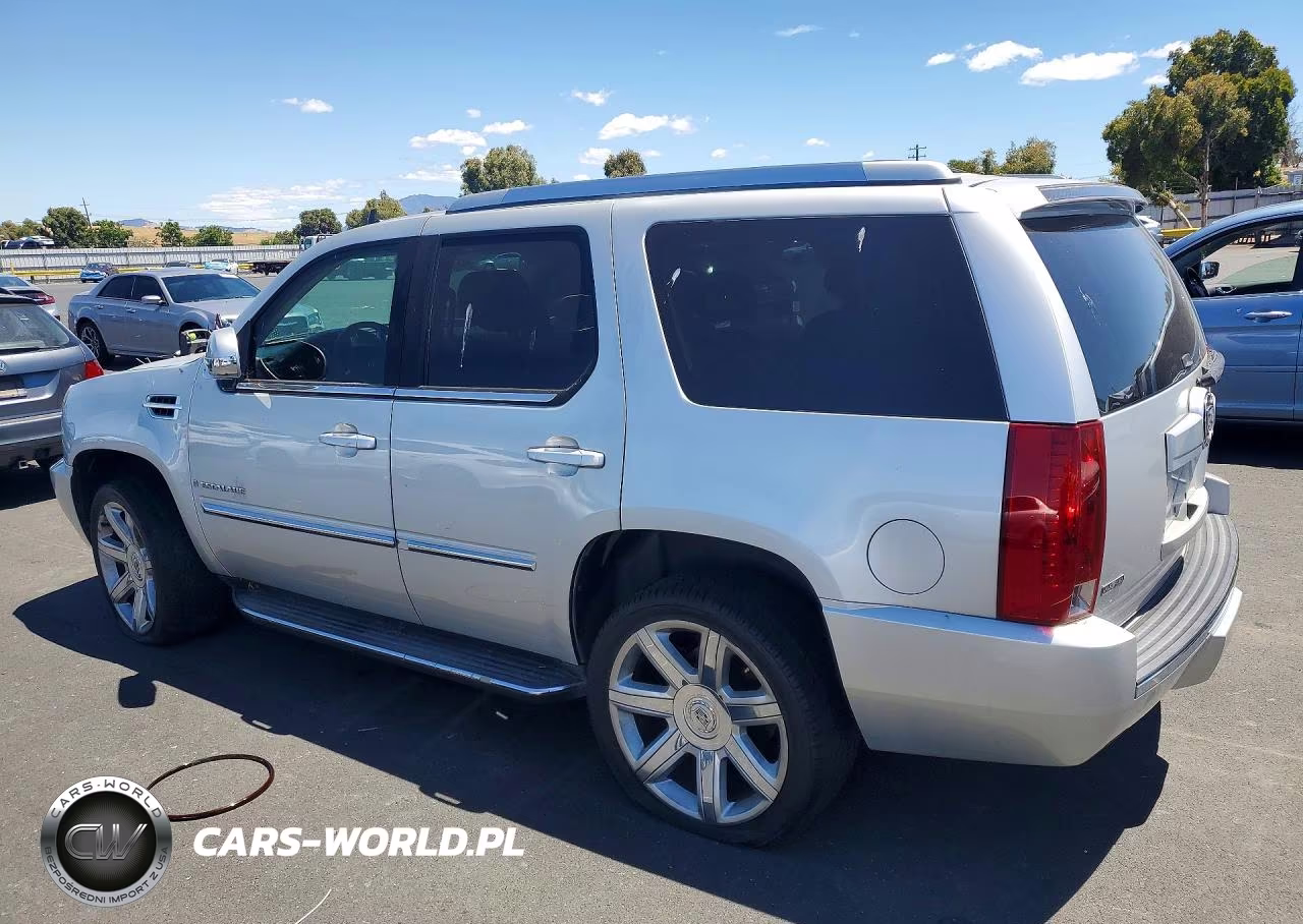 2010 Cadillac Escalade Premium VIN:1GYUCCEF6AR154176 - 2