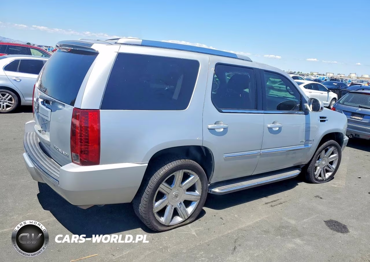 2010 Cadillac Escalade Premium VIN:1GYUCCEF6AR154176 - 3