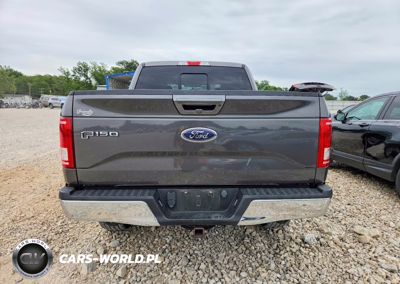 2016 Ford F150 Supercrew VIN:1FTEW1EG7GFA85751 - 6