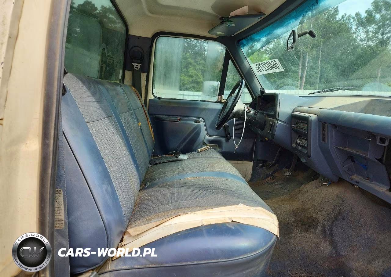 1991 Ford F150 VIN:1FTDF15Y6MNA98576 - 10