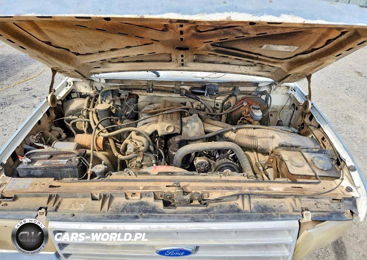 1991 Ford F150 VIN:1FTDF15Y6MNA98576 - 11