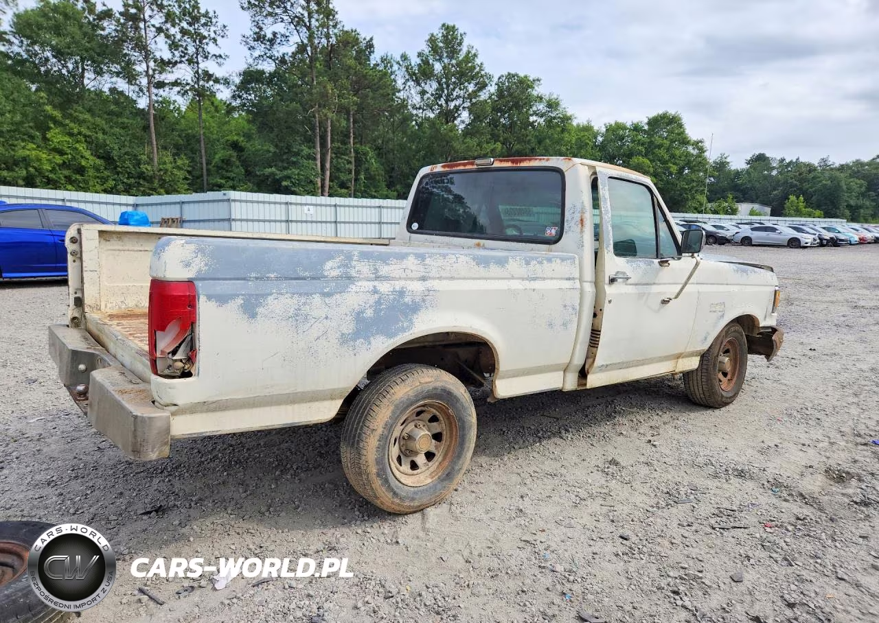 1991 Ford F150 VIN:1FTDF15Y6MNA98576 - 3