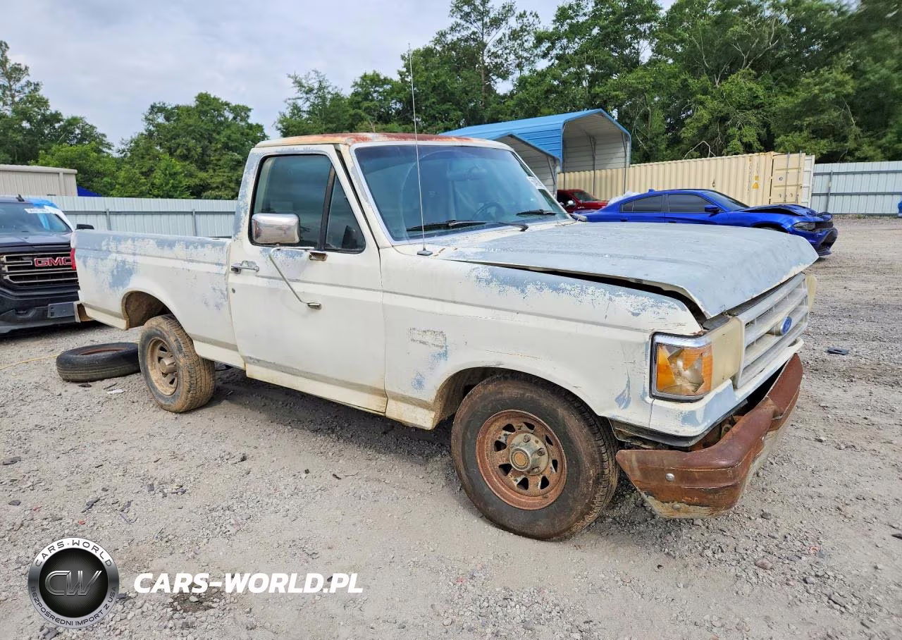 1991 Ford F150 VIN:1FTDF15Y6MNA98576 - 4