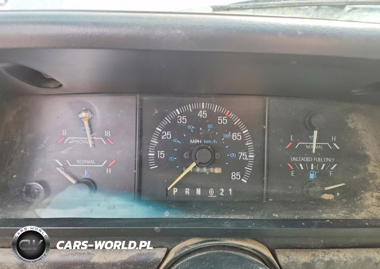 1991 Ford F150 VIN:1FTDF15Y6MNA98576 - 9