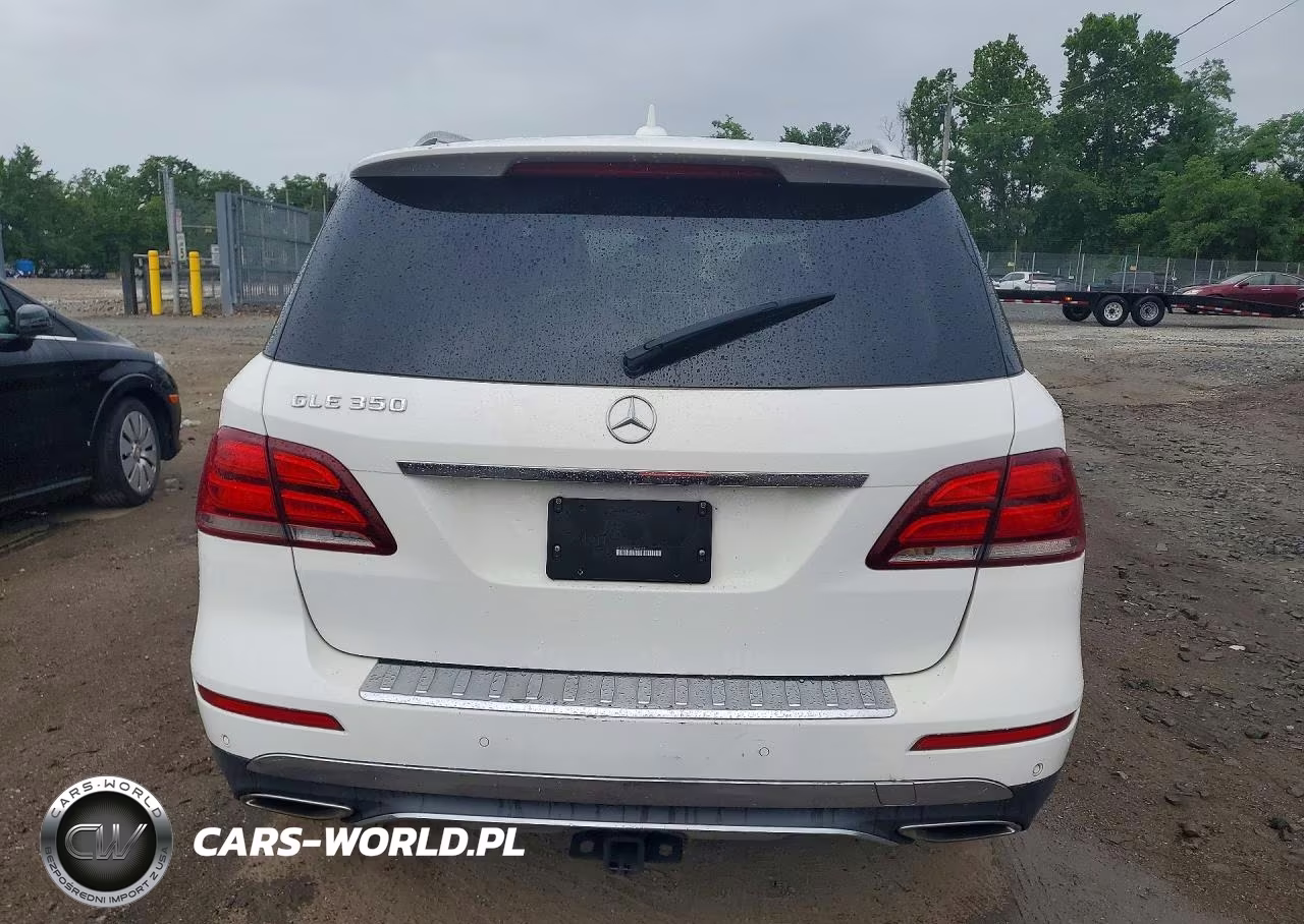 2016 Mercedes-Benz Gle 350 VIN:4JGDA5JB5GA696835 - 6