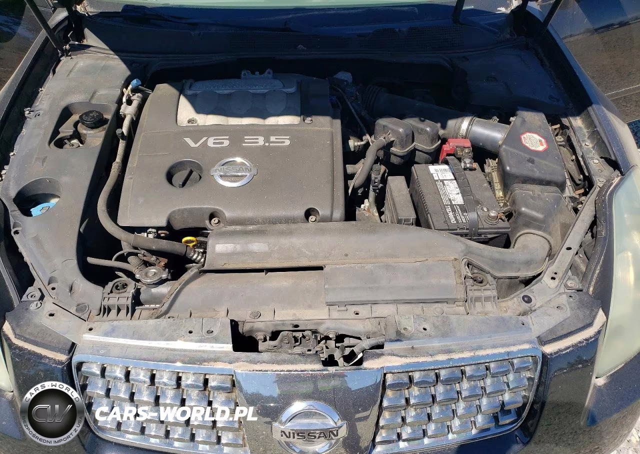 2004 Nissan Maxima 3.5 Se VIN:1N4BA41E54C928632 - 11