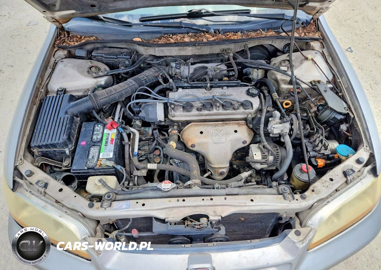 1998 Honda Accord Ex VIN:1HGCG5655WA183098 - 12