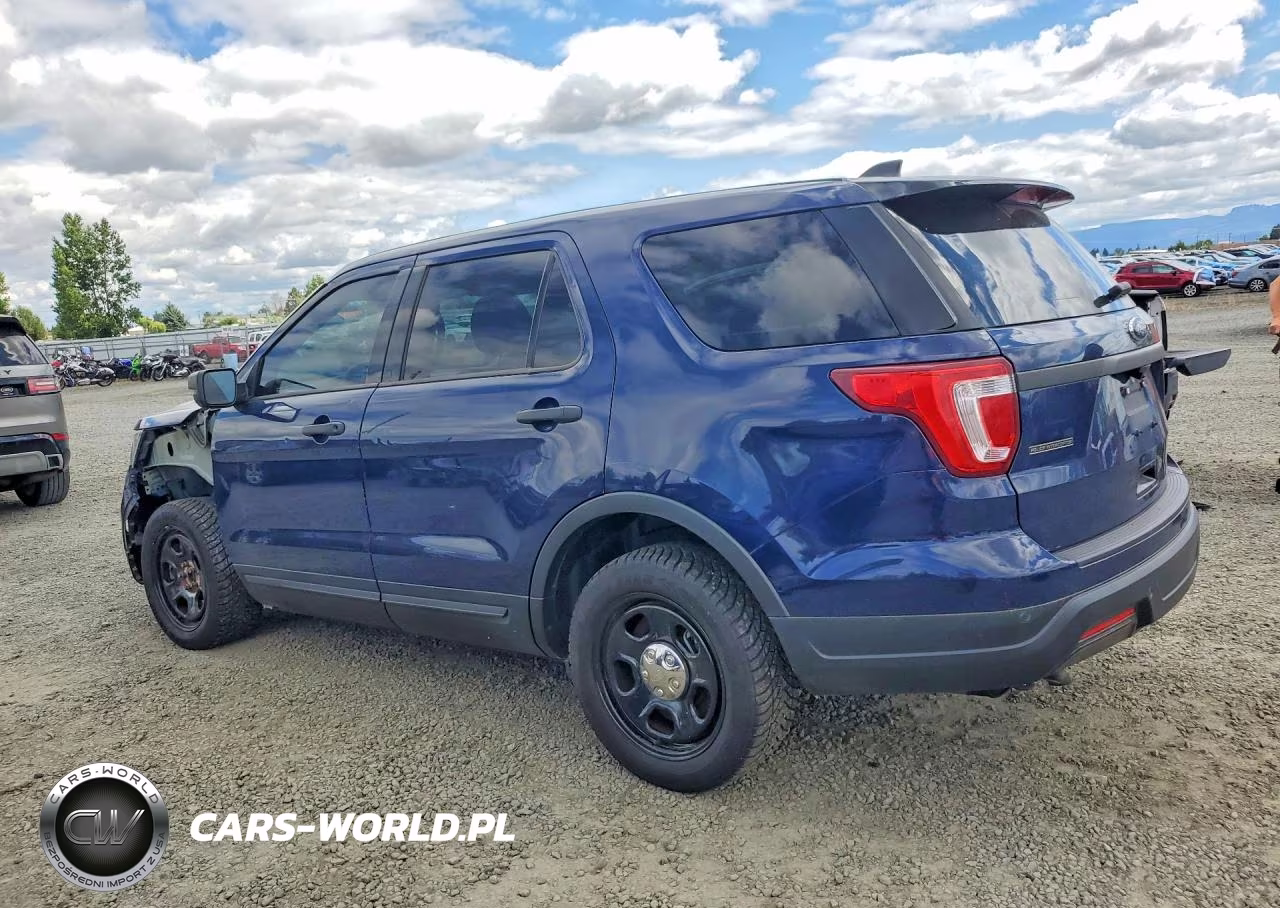 2019 Ford Explorer Police Interceptor VIN:1FM5K8AR4KGA79156 - 2