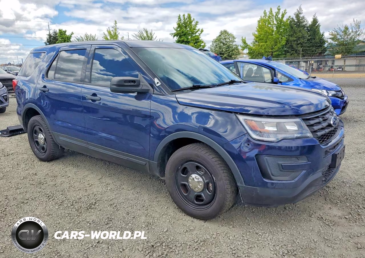 2019 Ford Explorer Police Interceptor VIN:1FM5K8AR4KGA79156 - 4