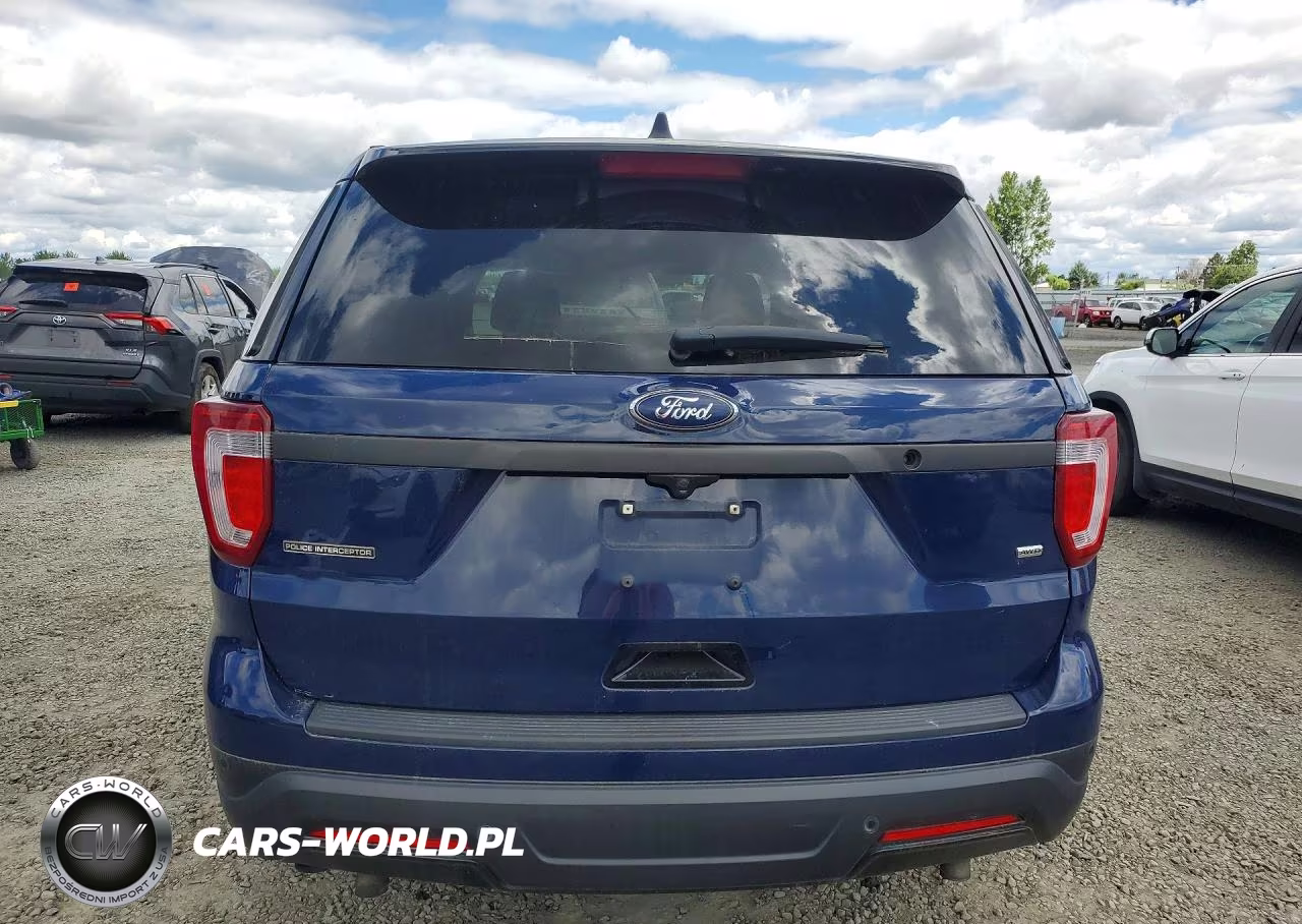 2019 Ford Explorer Police Interceptor VIN:1FM5K8AR4KGA79156 - 6