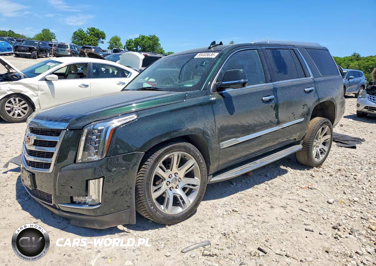 2016 Cadillac Escalade Luxury – zdjęcie 1 z 14