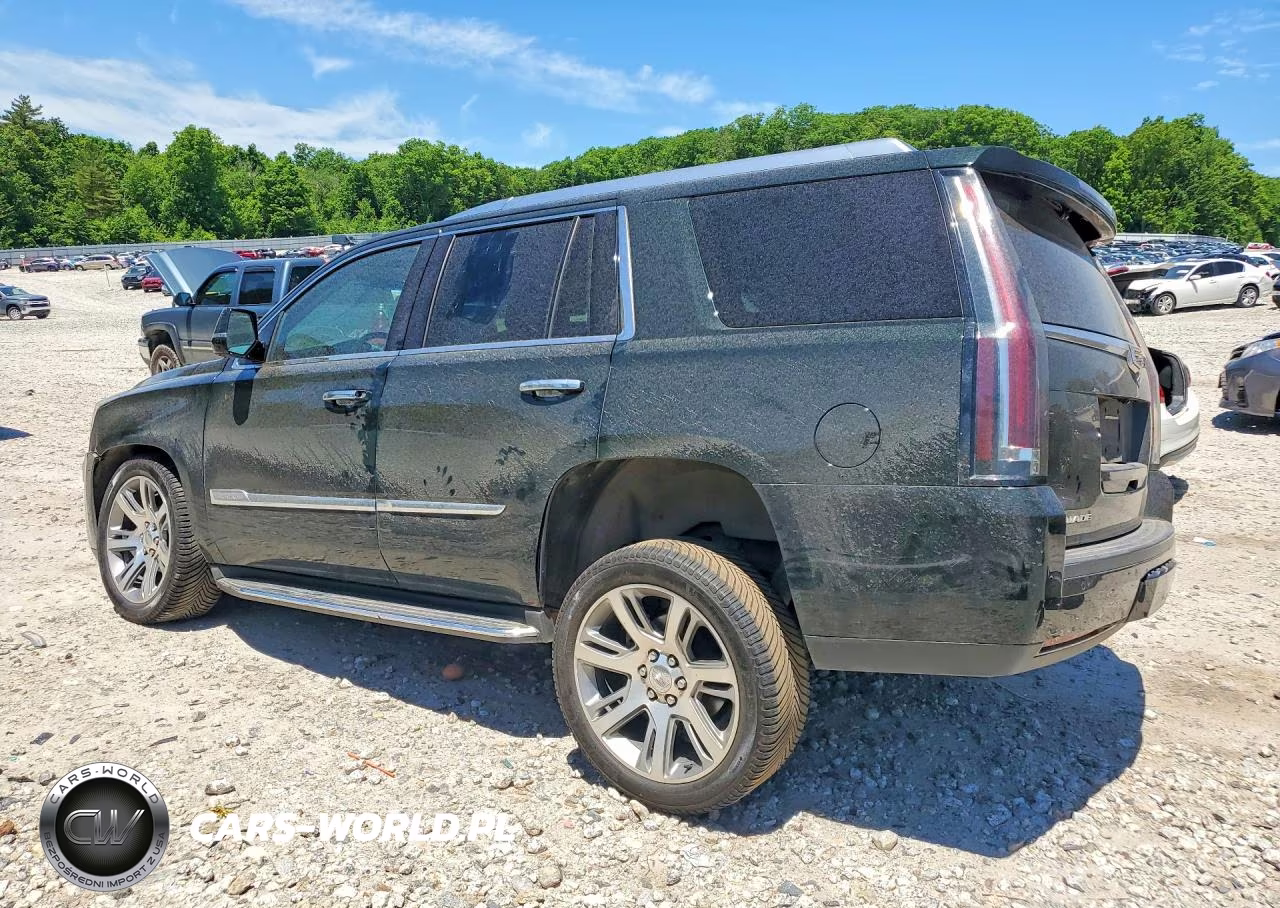 2016 Cadillac Escalade Luxury VIN:1GYS4BKJ9GR273159 - 2