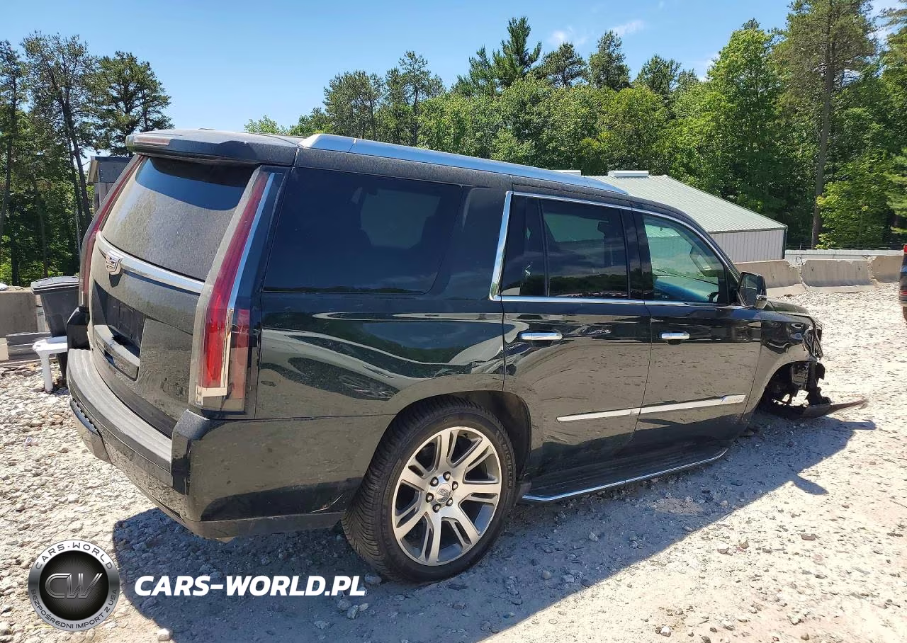2016 Cadillac Escalade Luxury VIN:1GYS4BKJ9GR273159 - 3