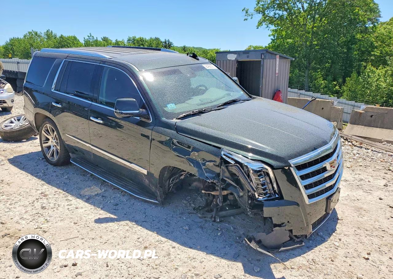 2016 Cadillac Escalade Luxury VIN:1GYS4BKJ9GR273159 - 4