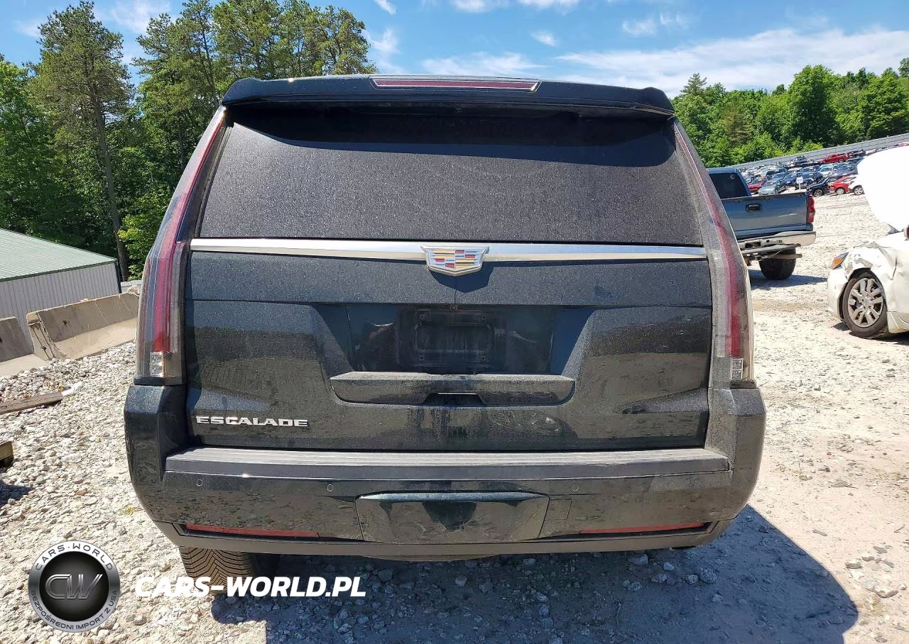 2016 Cadillac Escalade Luxury VIN:1GYS4BKJ9GR273159 - 6