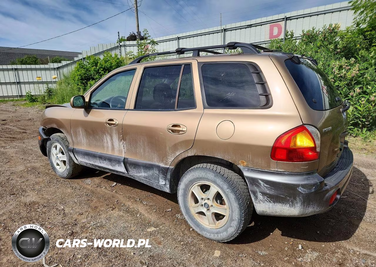 2004 Hyundai Santa Fe Gls VIN:KM8SC13D64U854330 - 2