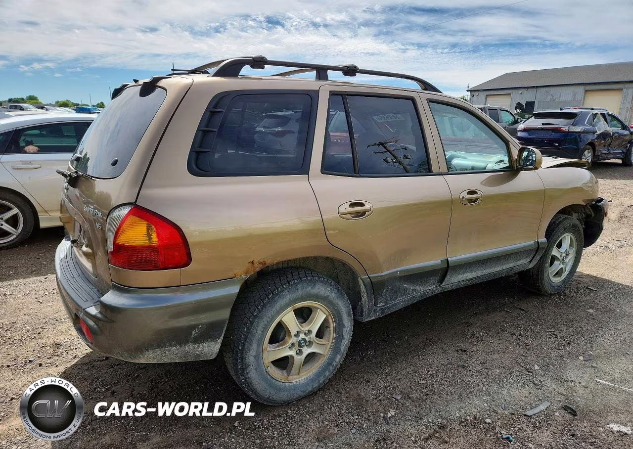 2004 Hyundai Santa Fe Gls VIN:KM8SC13D64U854330 - 3