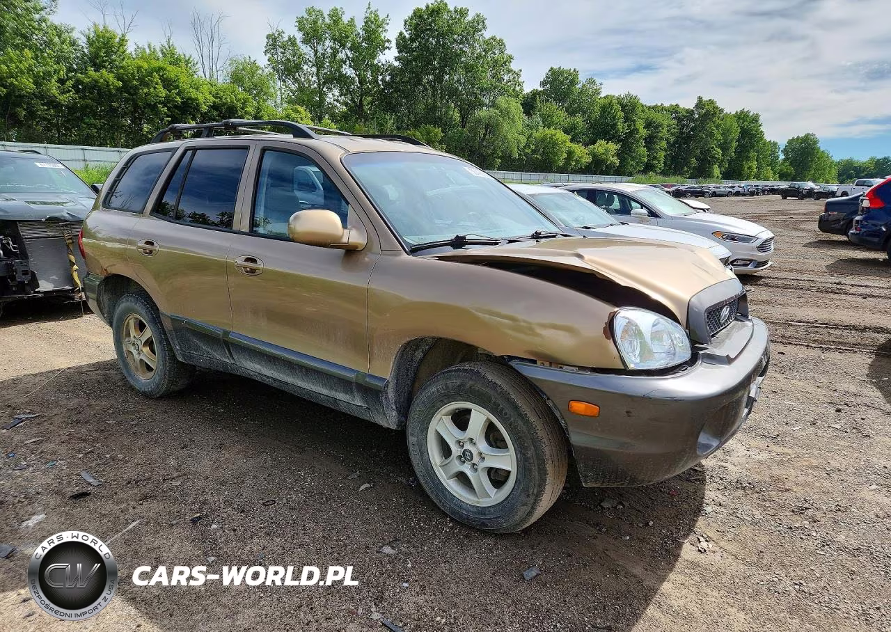 2004 Hyundai Santa Fe Gls VIN:KM8SC13D64U854330 - 4