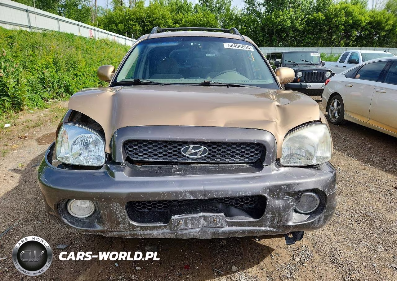 2004 Hyundai Santa Fe Gls VIN:KM8SC13D64U854330 - 5