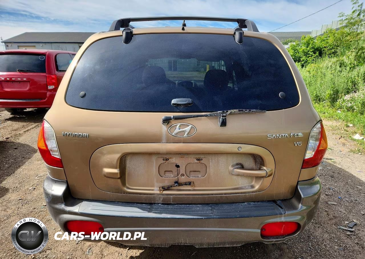 2004 Hyundai Santa Fe Gls VIN:KM8SC13D64U854330 - 6