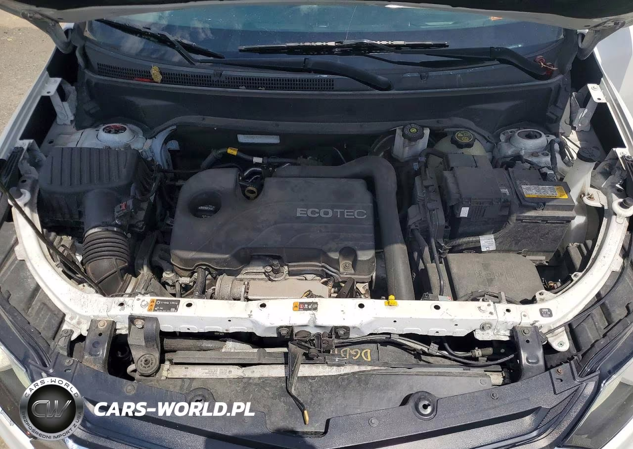 2019 Chevrolet Equinox Lt VIN:2GNAXTEV5K6164013 - 12